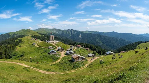 Çamburnu & Sultan Murat Yaylası